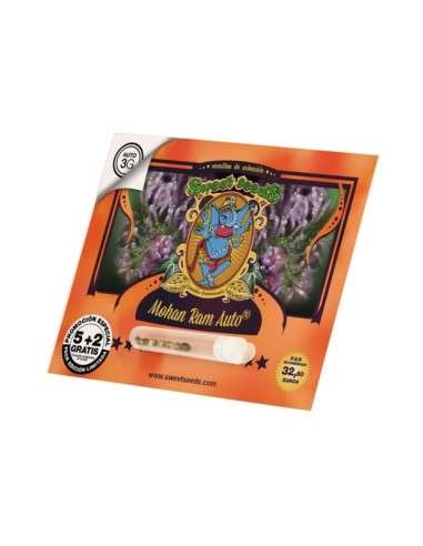 SWEET SEEDS - Mohan Ram Auto - 3
