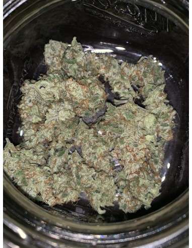 SWEET SEEDS - Mohan Ram Auto - 6