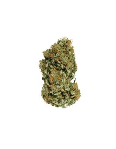 ROYAL QUEEN SEEDS - Sour Diesel - 2