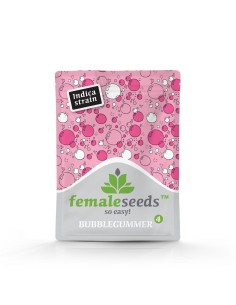 FEMALE SEEDS - BubbleGummer - 1 2
