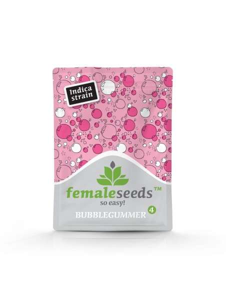FEMALE SEEDS - BubbleGummer - 2