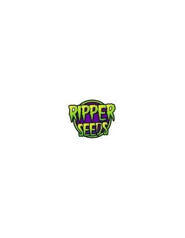 RIPPER SEEDS - Double Glock - 4