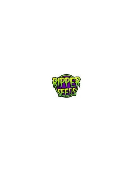 RIPPER SEEDS - Double Glock - 4