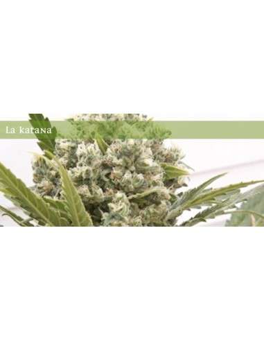 ELITE SEEDS - La Katana - 1