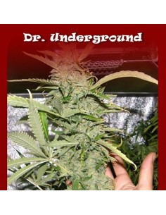 DR UNDERGROUND - Crystal M.E.T.H. - 1