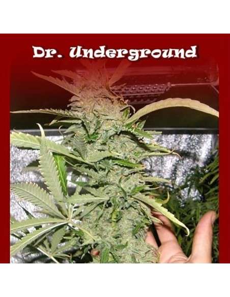 DR UNDERGROUND - Crystal M.E.T.H. - 1