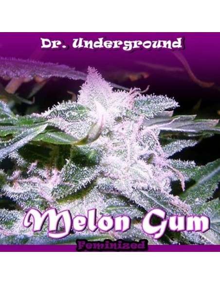 DR UNDERGROUND - Melon Gum - 1