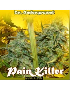 DR UNDERGROUND - Painkiller - 1