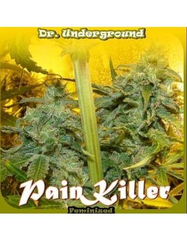 DR UNDERGROUND - Painkiller - 1