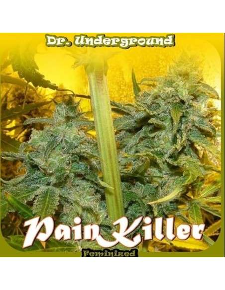 DR UNDERGROUND - Painkiller - 1