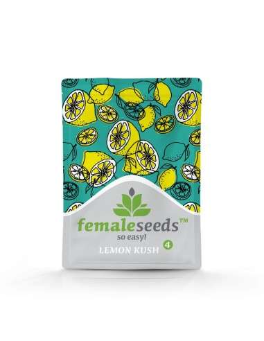 FEMALE SEEDS - Lemon Kush - 2