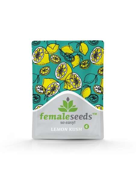 FEMALE SEEDS - Lemon Kush - 2