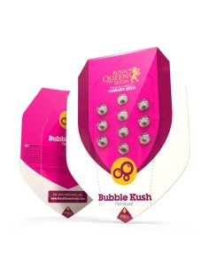 ROYAL QUEEN SEEDS - Bubble Kush - 1 2