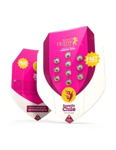 ROYAL QUEEN SEEDS - Speedy Chile (Fast Version) - 1 2