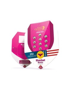 ROYAL QUEEN SEEDS - Sherbet Queen - 1 2