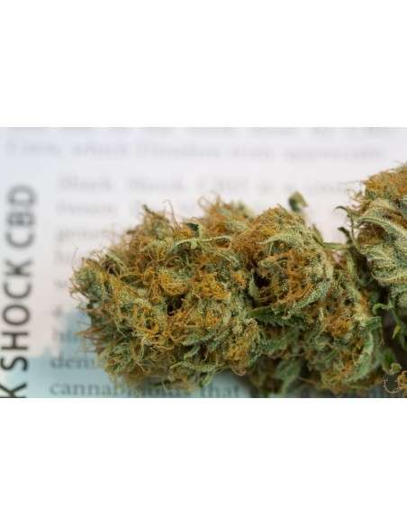 DINAFEM - Shark Shock CBD - 6