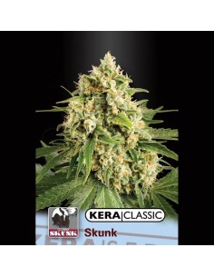 KERA SEEDS - Skunk - 1