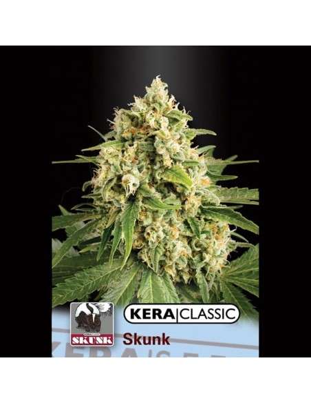 KERA SEEDS - Skunk - 1