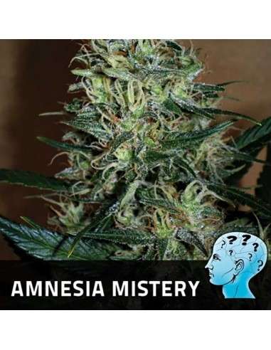 POSITRONICS - Amnesia Mistery - 1