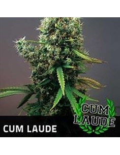 POSITRONICS - Cum Laude - 1