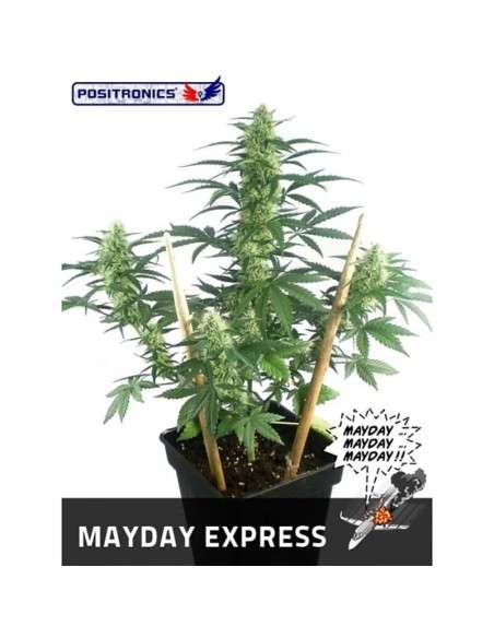 POSITRONICS - May Day Express - 1