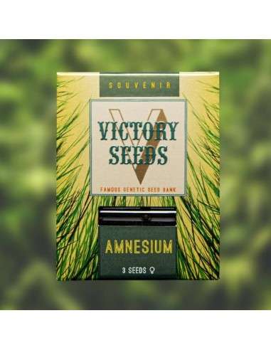 Victory Seeds - Amnesium - 1