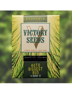 Victory Seeds - Auto Biggest Bud - 1