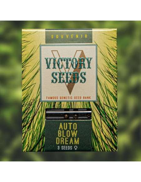 Victory Seeds - Auto Blow Dream - 1