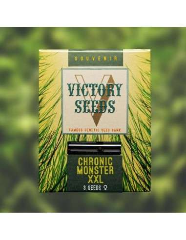 Victory Seeds - Chronic Monster XXL - 1