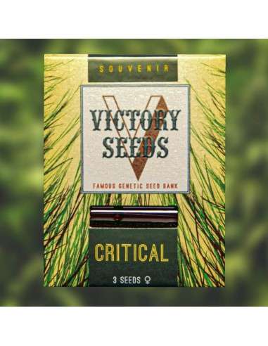 Victory Seeds - Critical - 1