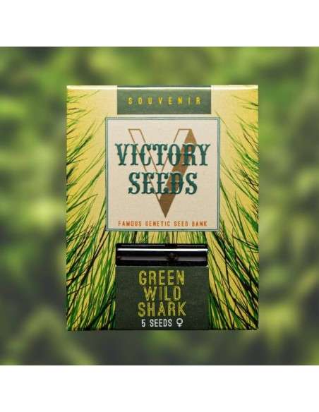 Victory Seeds - Green Wild Shark - 1
