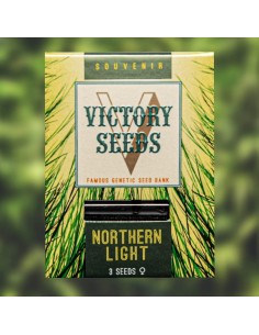 Victory Seeds - Northern Light - 1