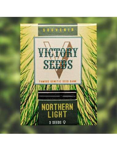 Victory Seeds - Northern Light - 1