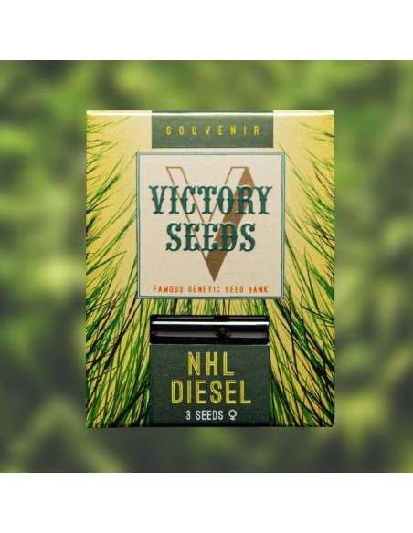 Victory Seeds - NHL Diesel - 1
