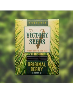 Victory Seeds - Original Berry - 1