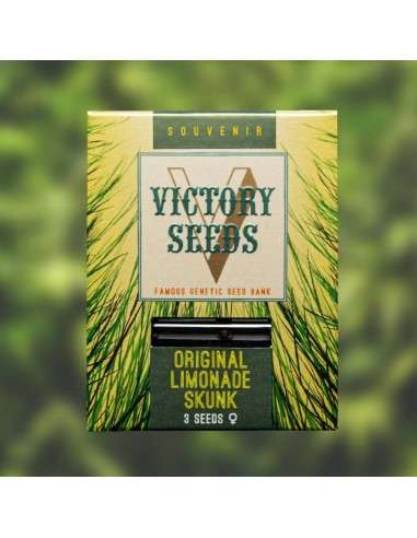 -50% Victory Seeds - Original Limonade Skunk 5szt - 1