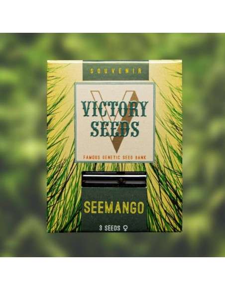 Victory Seeds - Seemango - 1