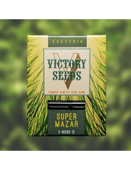 Victory Seeds - Super Mazar - 1