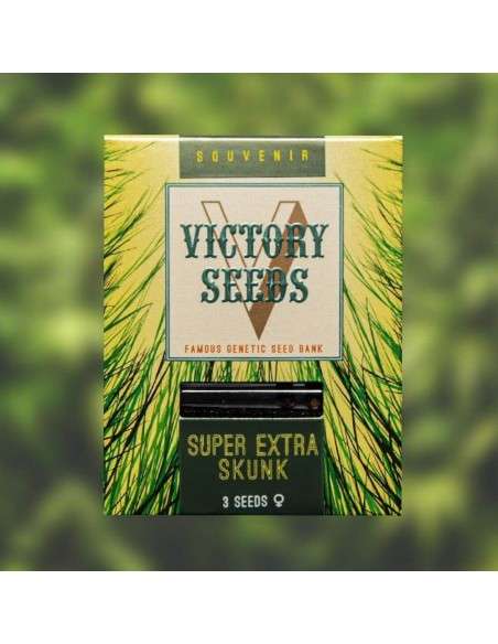 Victory Seeds - Super Skunk - 1