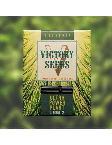Victory Seeds - Ultra Power Plant - 1
