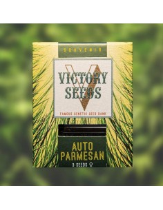 Victory Seeds - Auto Parmesan - 1