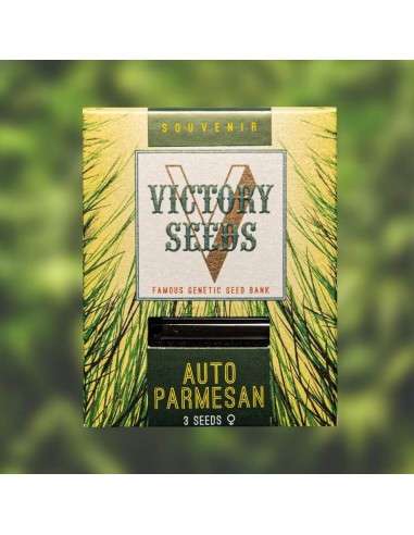 Victory Seeds - Auto Parmesan - 1