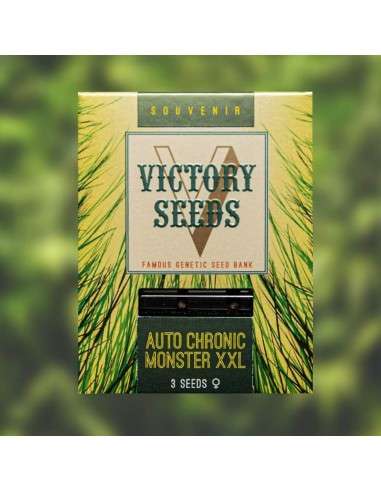 Victory Seeds - Auto Chronic Monster XXL - 1