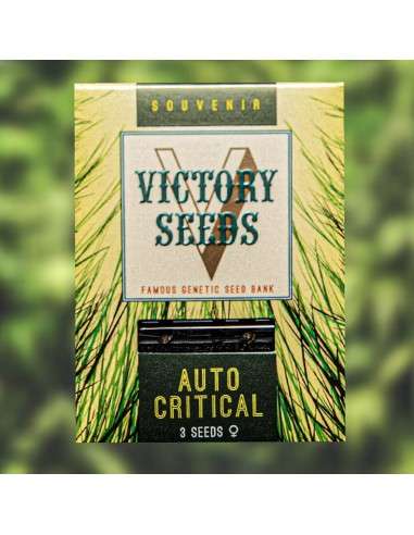 Victory Seeds - Auto Critical - 1