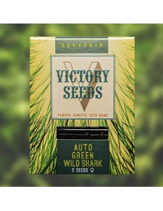 Victory Seeds - Auto Green Wild Shark - 1