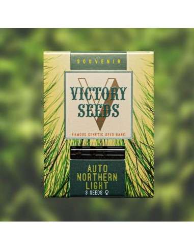 Victory Seeds - Auto Northern Light - 1