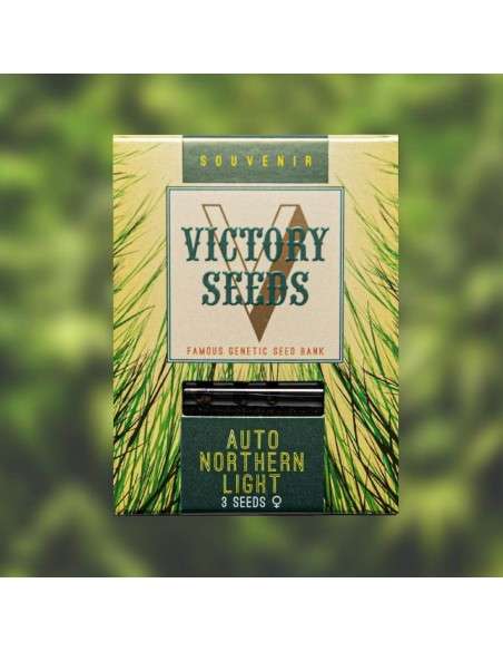 Victory Seeds - Auto Northern Light - 1