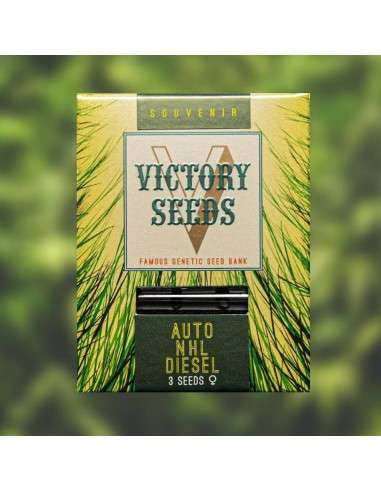 Victory Seeds - Auto NHL Diesel - 1