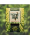 Victory Seeds - Auto Original Berry - 1