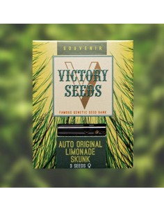 Victory Seeds - Auto Original Limonade Skunk - 1